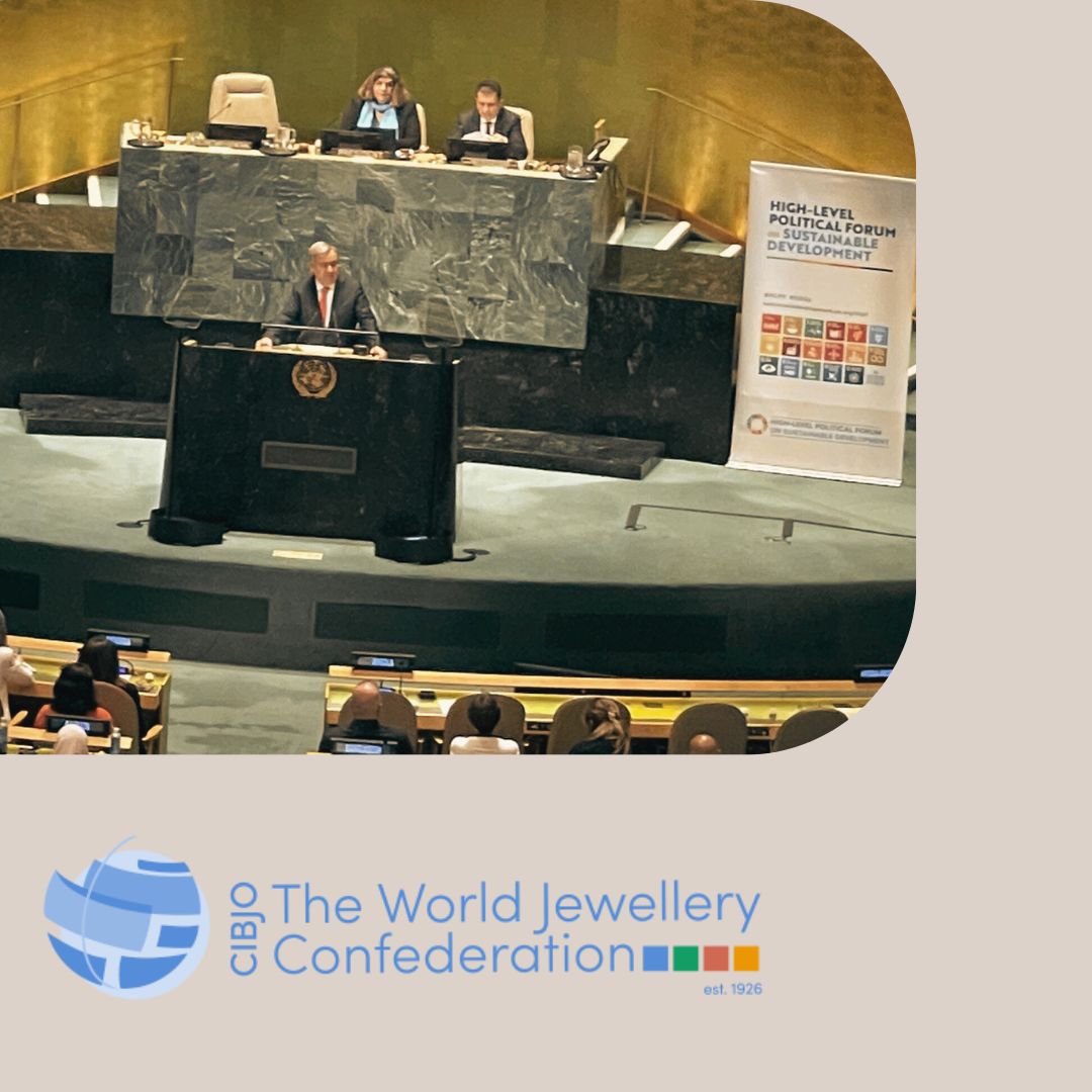 CIBJO-Präsident spricht vor UN-ECOSOC