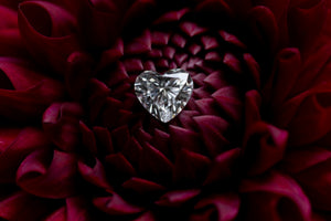 Heart Shape lab-grown Diamant auf einer roten Blume.